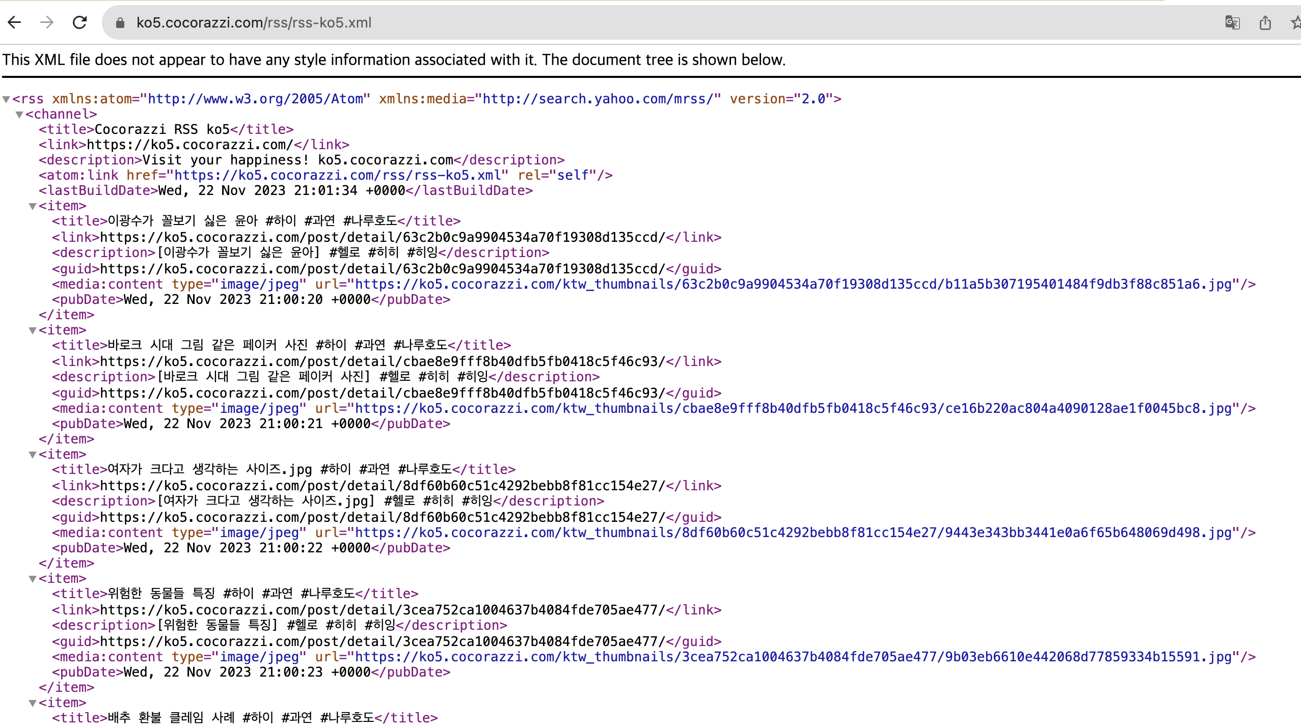 브라우저에서 확인할 수 있는 rss 모습